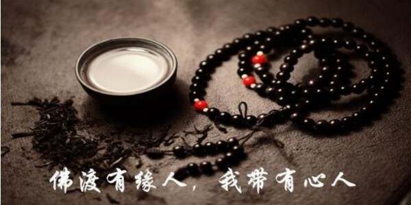 顺归话金：黄金下跌不回头？给自己一次机会，别让行情吞噬你的利润