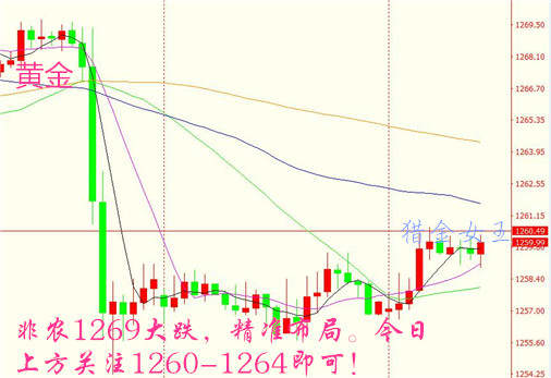 猎金女王：8.8英脱欧或拐点，黄金1260空头炮原油看涨