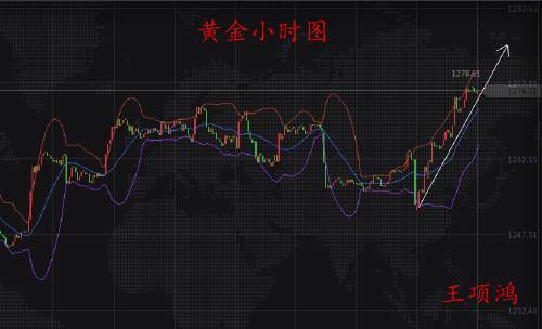 Followme美嘴,收涨,点燃,激情,借助,原油