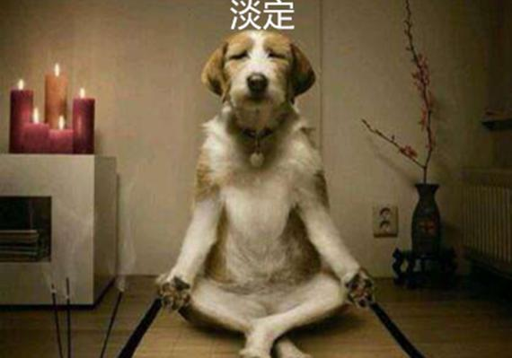 金钰指金:暴风雨来临之前,原油继续上涨,黄金持续下跌