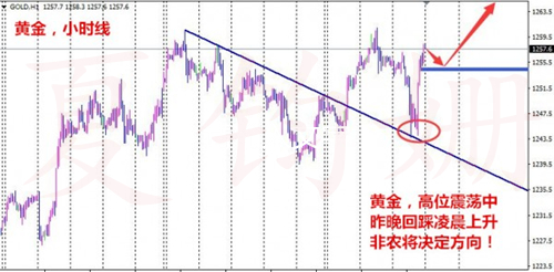 夏钧姗:4.6黄金多头警惕非农“滑铁卢”,黄金欧盘回落做多