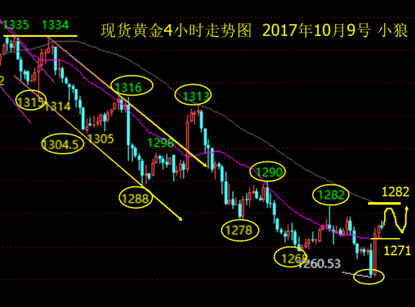 小狼:黄金今日1271-1282区间偏强整理