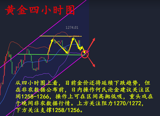 何氏论金非农时刻黄金套单怎么办6.2黄金如何操作附解套