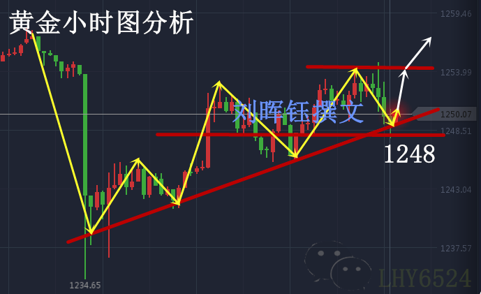 刘晖钰:为何总是处于亏损中6.29黄金冲高回落,1248继续多