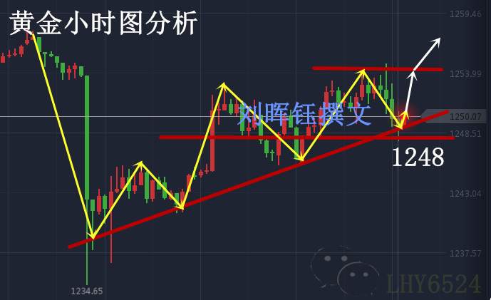 刘晖钰：为何总是处于亏损中6.29黄金冲高回落，1248继续多