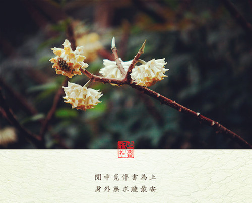 赵柏通：4.19黄金为何暴涨暴跌，黄金操作建议