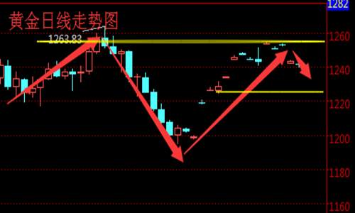 Followme止损,黄金,原油,市场,升息,建议