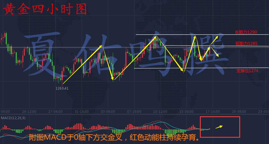 夏佑鸣：11.17加息税改黄金能否止跌？后市怎么操作附解套