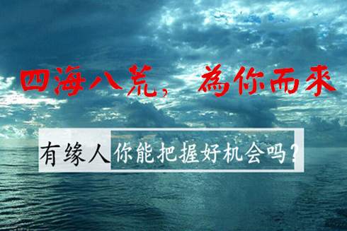 天竞点金：投资市场如何把握最大的盈利，快速赚钱