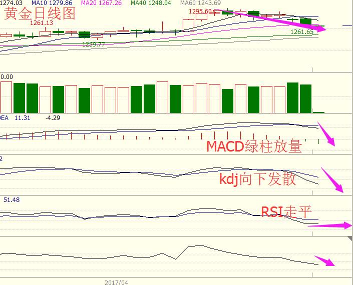 金钰指金：黄金1250支撑见分晓，原油API利空反涨是常态