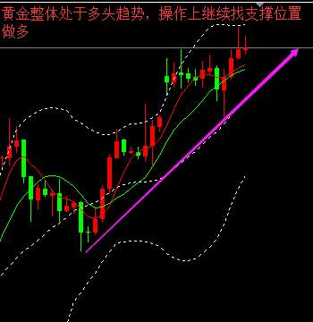 杨雯琦：黄金多头“如鱼得水”，日内继续看涨