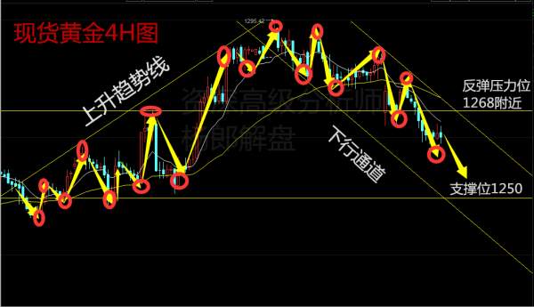 杨郎解盘4.26EIA携手美国税改方案，原油黄金继续承压下行