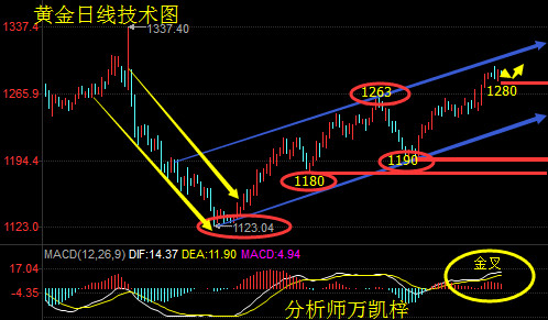 万凯梓：法国黑天鹅来袭，晚间现货原油黄金操作策略
