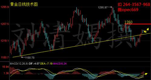 刘清嫣：7.20黄金高位震荡，午间行情分析