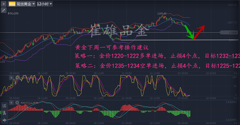 崔雄品金：金价多头无力反单，法国大选前来助阵！