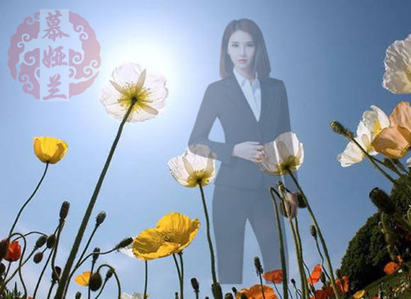 慕娅兰：为什么你频繁的被深 套、被爆 仓？