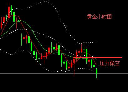 杨雯琦：金价多头已难以为继 亚盘关注1315一线支撑