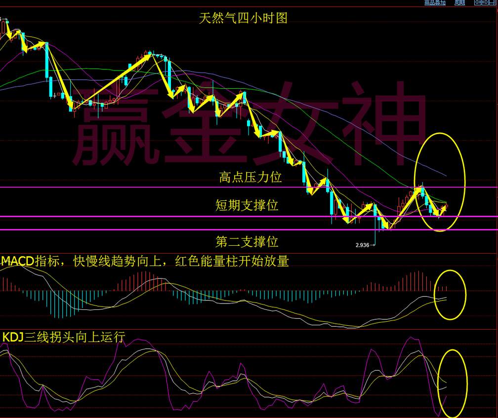 Followme拐头,破位,赢金,止损,行情,女神