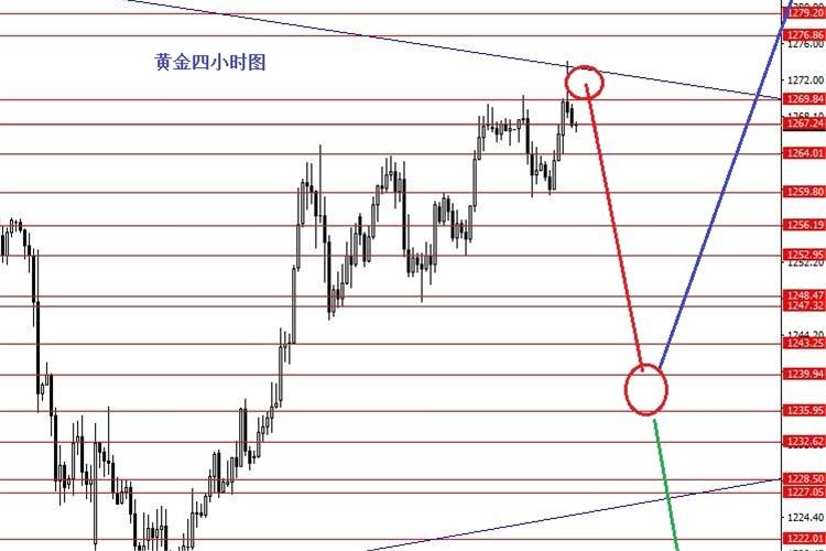 张果彤：六月份欧元和黄金波段分析