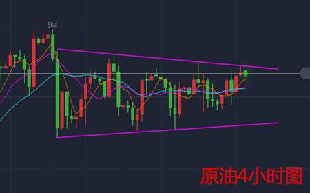 余天翼：8.10早间黄金原油行情分析.附解套