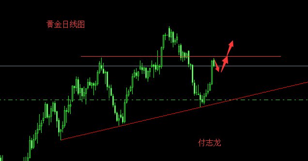 付志龙:5.18黄金暴涨将持续,回落继续多