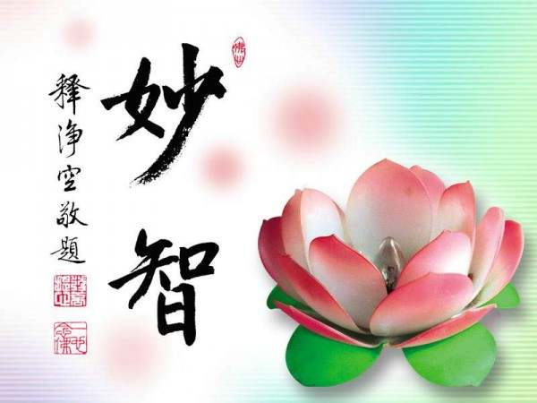 9.4李筱绡：黄金与外汇这对孪生兄弟之间存在怎样奇妙的联系？