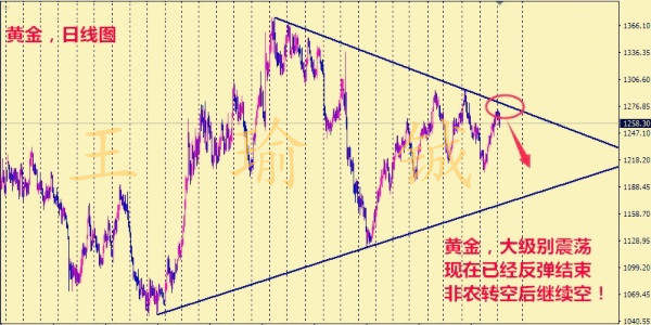 王瑜铖8.7黄金遭遇非农空头打击，后市黄金走向如何附解套