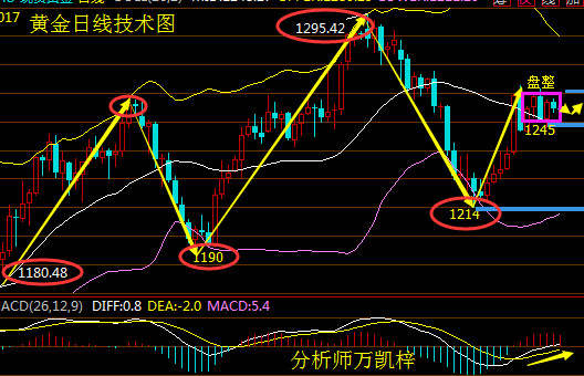 Followme万凯,黄金,减产,林带,笔者,加息