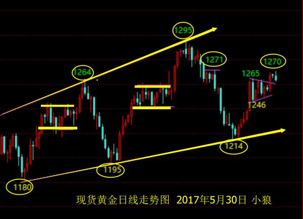 Followme需要,迷人,技巧,追求,胜利,学习