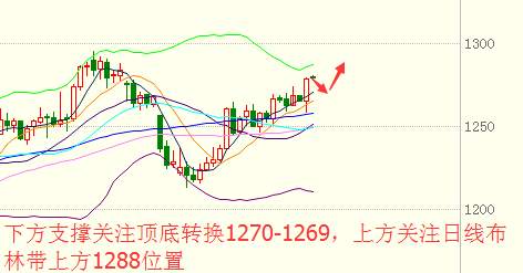 Followme杨雯琦,黄金,笔者,加息,获利,大选