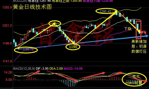 曾鑫铭5.5黄金跌势能否延续？非农夜黄金原油布局策略及解套
