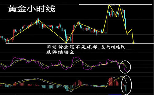 夏钧姗:4.10耶伦女王再成关注焦点,今日黄金白银行情分析