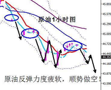 蒋妍琋：黄金1208附近继续空 原油44.4附近同样可空