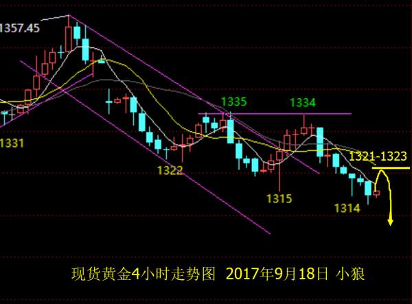 小狼：八点直播讲课，黄金晚上1321再空