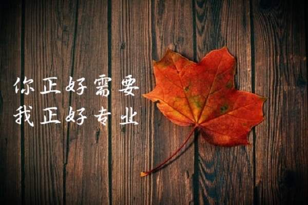 许嘉娴：10.30套单拯救者——黄金非农周，盈利狂潮席卷而来！