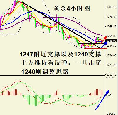 蒋妍琋：黄金继续关注反弹力度 原油空头不改