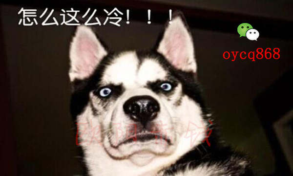 10.11黄金多头称霸市场，你还做空？做空者尽折腰！