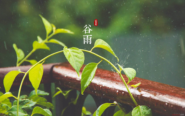 孙可颜：4.20暴跌之后白银原油反弹继续空，日内趋势关注大选动向