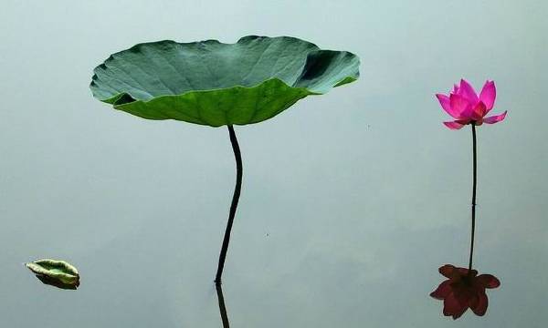 洋丽颖:黄金多空对决暴跌暴涨,原油晚间精准布局
