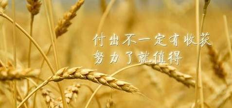 卢政旗：金融市场投资者一定要记住以下几点