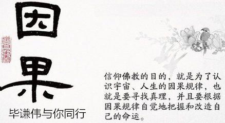 毕谦伟：4.20黄金原油原油为何暴跌?原油黄金走势分析和操作建议