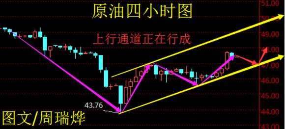 周瑞烨：原油多头露獠牙   黄金顺势反弹空