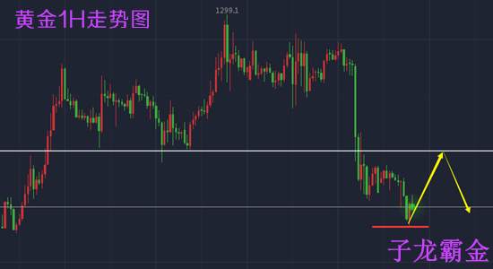 子龙霸金：11.30美联储加息来临，月线收官黄金行情预测布局附解套