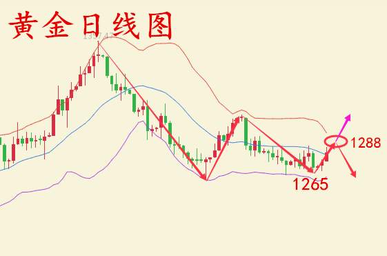 何氏论金：11.7黄金暴涨被套怎么办，今日黄金如何操作