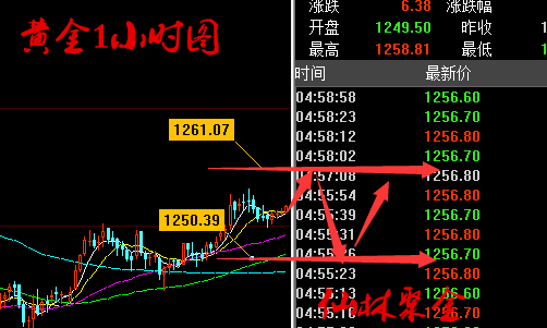 仙林聚金:6.26午评原油黄金走势分析及操作建议(附详细解套)