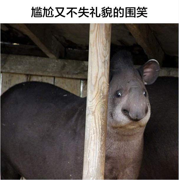 交易大赛-峰回路转的辣眼睛大戏频频上演