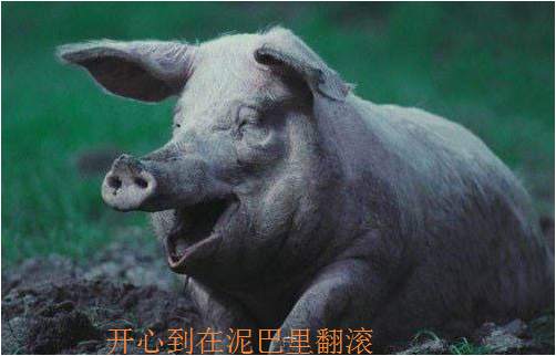 交易大赛还有132小时，冠军花落谁家有谁知？