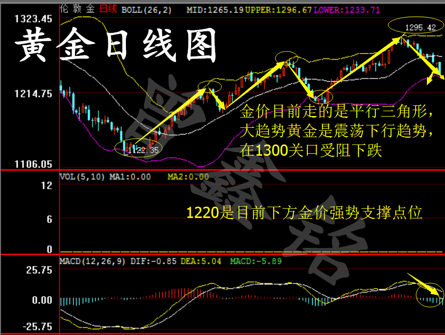 曾鑫铭5.4黄金让人大跌眼镜，黄金原油后市拯救建议及解套