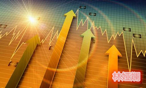 林娅斓：股市与金市的区别