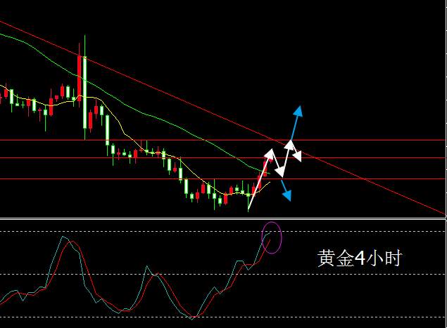 Followme注重,交易,世间,法则,纪律,万物